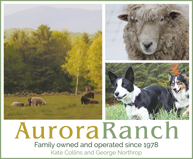 Aurora Ranch logo