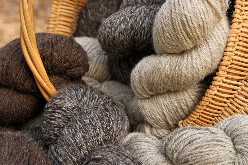 Romney sheep wool yarn of many colors
